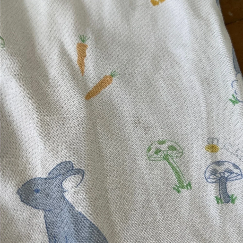 Little English Easter spring animal pajama set kids 6 bunny ducks long sleeve